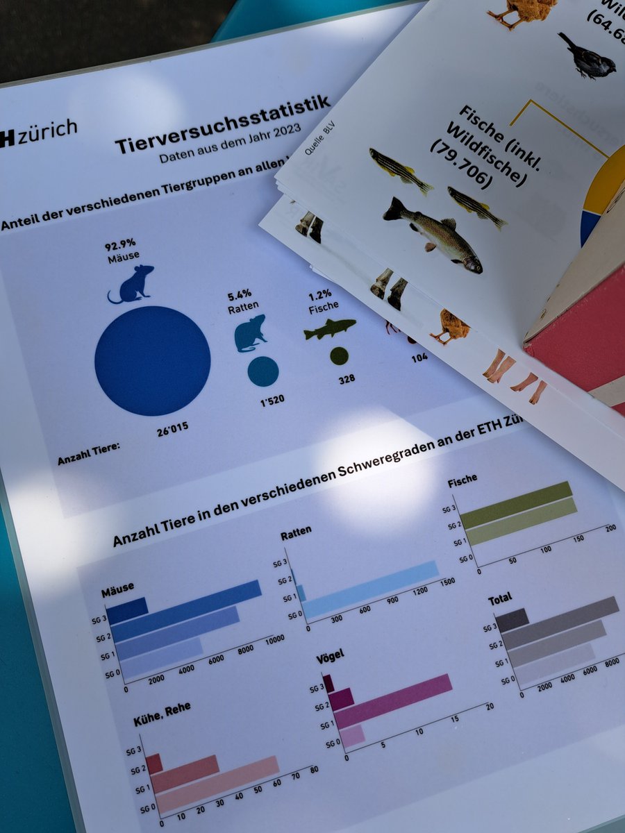 Diskussionen laufen...#NIDEA2025