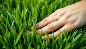 Rest time on the cruise, touch the grass
#openseatouchgrass
<a href="/opensea/">OpenSea</a>