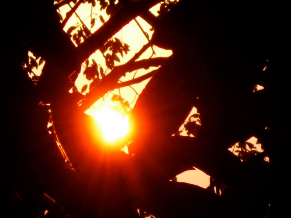 MiraSound (@montecrossa) on Twitter photo #Photo by #Mirakali Sun through branches <a href="/yzcyzf/">性格色覚W異常フニクラ@CFS&無呼吸&HSP</a> <a href="/KeiraNightly2/">Keira Nightly</a> <a href="/iliana_uribe/">Iliana Uribe García</a> #photography #photographer #Mirapuri #NaturePhotography #sun #branches #atmosphere #TwitterNatureCommunity #nature #outdoors Mirakali.net #Photo by #Mirakali Sun through branches <a href="/yzcyzf/">性格色覚W異常フニクラ@CFS&無呼吸&HSP</a> <a href="/KeiraNightly2/">Keira Nightly</a> <a href="/iliana_uribe/">Iliana Uribe García</a> #photography #photographer #Mirapuri #NaturePhotography #sun #branches #atmosphere #TwitterNatureCommunity #nature #outdoors Mirakali.net