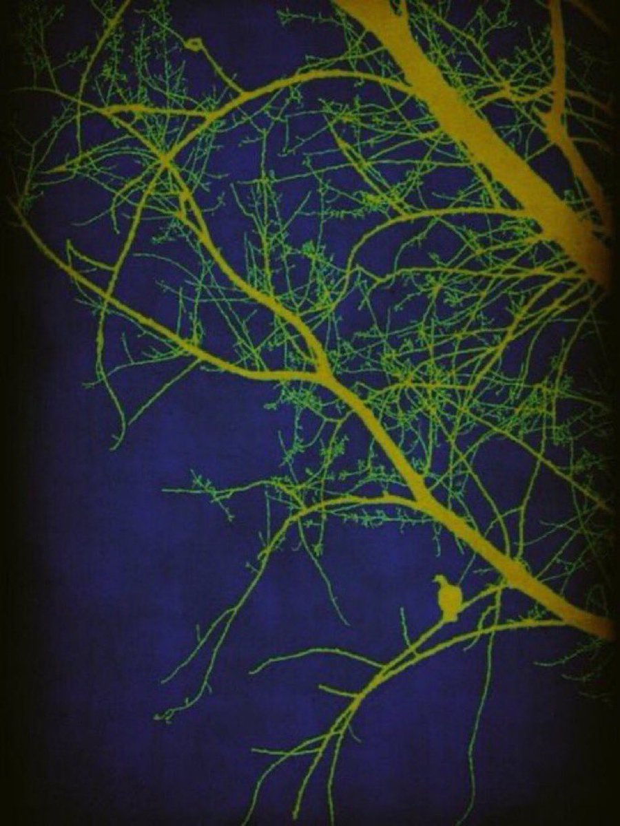 🌿Au plus fort de l’orage,
      Il y a toujours un oiseau pour nous consoler.
      C’est l’oiseau inconnu.
      Il chante avant de s’envoler.

René Char / Les Matinaux 

<a href="/laetirature/">Laetirature</a>