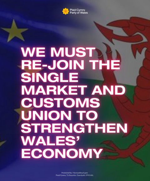 Party of Wales Supporters (@tllanelli) on Twitter photo 