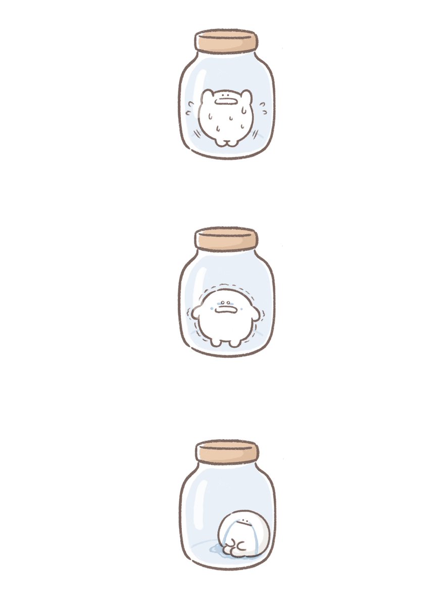 しらたま (@siratama_2o) on Twitter photo 