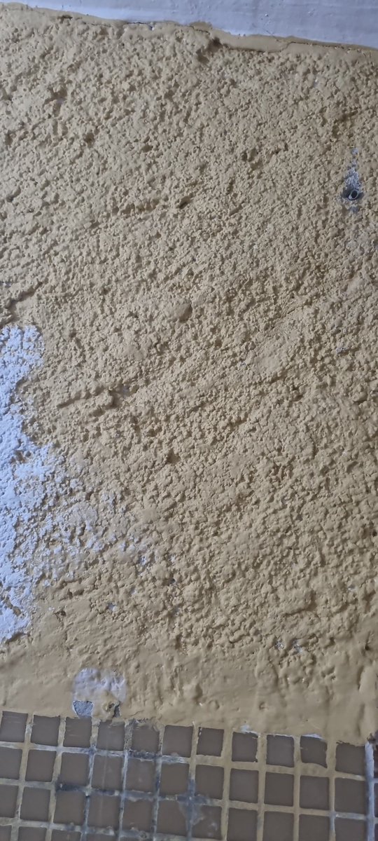 Bathrooms are always a joy to paint, nooks and cranies, but with the added fun of 'texture' my 15L pot of paint might just do the bathroom.