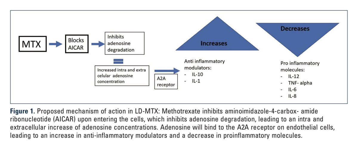 Alberto Giraldo (@alb_giraldo) on Twitter photo There is a common misconception regarding the use of #methotrexate (MTX), also evident in this post. When MTX is used in low-doses (10-25 mg weekly) in #rheumatoid #arthritis and other rheumatic diseases, it is not #chemotherapy and is not used for cancer treatment at these There is a common misconception regarding the use of #methotrexate (MTX), also evident in this post. When MTX is used in low-doses (10-25 mg weekly) in #rheumatoid #arthritis and other rheumatic diseases, it is not #chemotherapy and is not used for cancer treatment at these