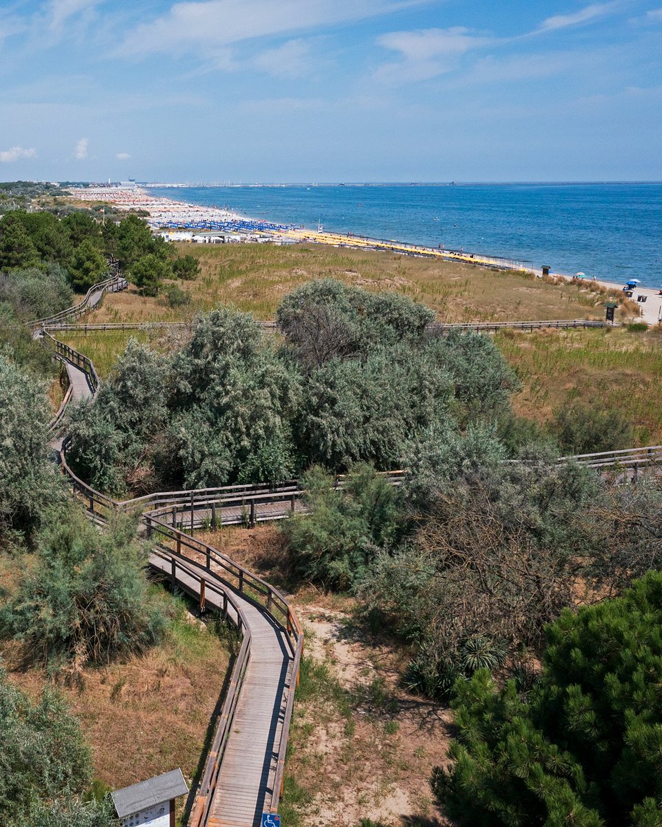 Spiagge dorate, dune selvagge, pinete rigogliose e zone umide tutte da scoprire: benvenuti al Parco Marittimo di Ravenna 🌿: turismo.ra.it/parco-marittimo | #inEmiliaRomagna #IlikeItaly