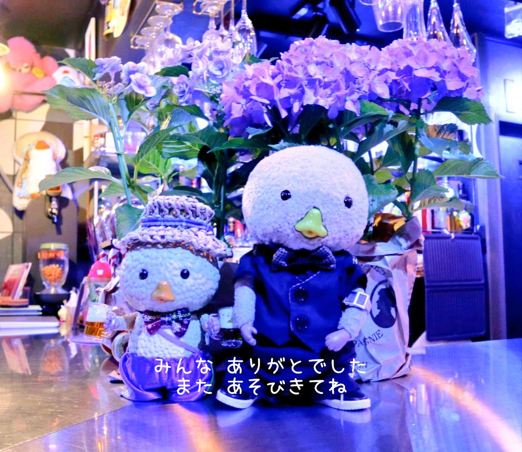 あじさいまつり 無事2日間終わりました。参加してくださったお客様、ぬいちゃん達、ありがとうございました。
今後も定期的に ぬいイベントは開催してまいります。引き続きよろしくお願いいたします。
#東京トガリ #バーレプリ 
#あじさい祭り