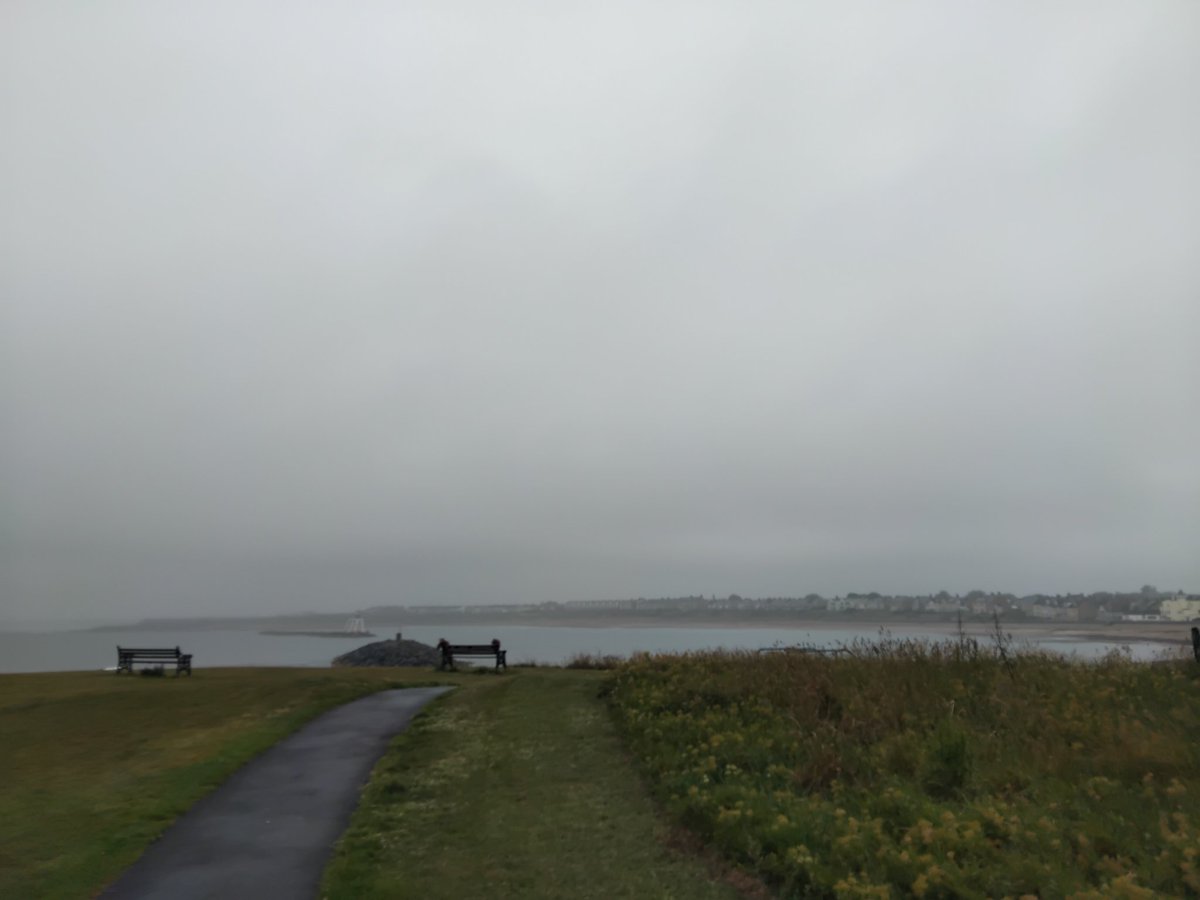 Mark Donnelly tweet media