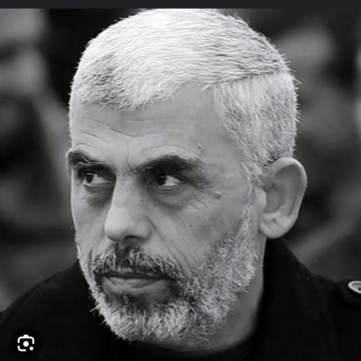 بِك و مِن بعدك طُوفانٌ يغرق بِه كُلُّ خائن 🔥
#FreePalestine #Gaza #tahran