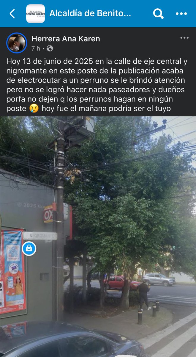 Vecinos, cuidado con sus perros, y este poste de luz