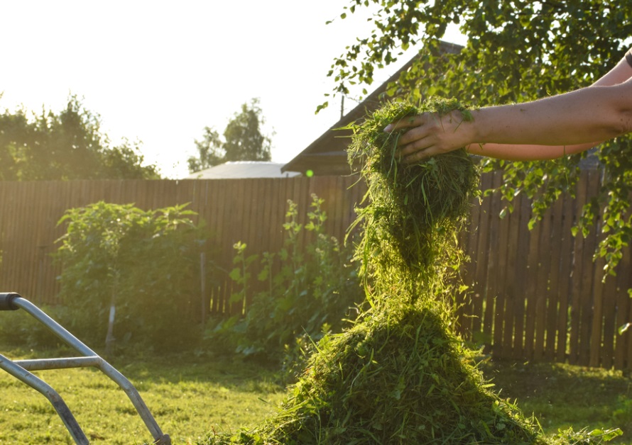 titonagy2014's tweet photo. #openseatouchgrass Vacation!) https://t.co/BeDpb3eiTi