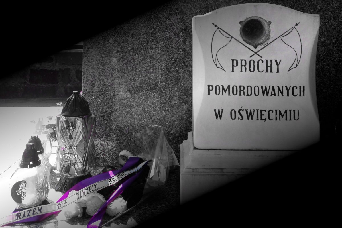 ⚜️HO🕊Leon Sawicki🇵🇱 tweet media