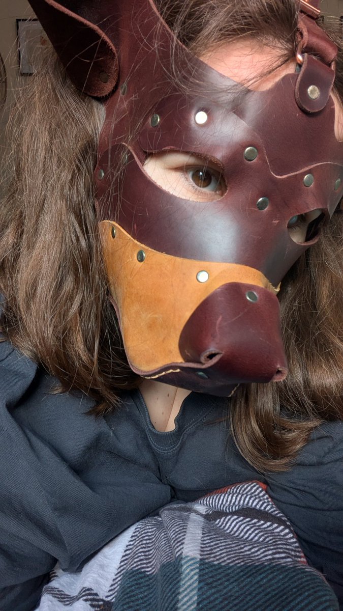 Honestly the morning sunlight brings out the shine in my fur... Don't you think? (Even if I'm a Scruff)

#petplay #humanpuppygirl #femalepupplayer #femalepetplayer #girlpup