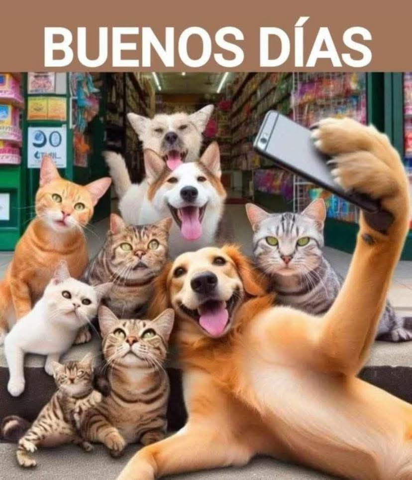 Hola familia bonita,buen día!!
Que poca inspiración llevamos encima😣,no os pasa?
Hay días que no hay ganas de na, más que de vaguear🫣.
Vamos a por este sábado vago💪🏼
Abrazo grande y lametones para todos los que estáis ahí al otro lado siempre🤍
<a href="/Quima23/">Quima23</a> <a href="/julcruzf/">Julia Cruz</a> <a href="/martamj32/">MartaEme</a>