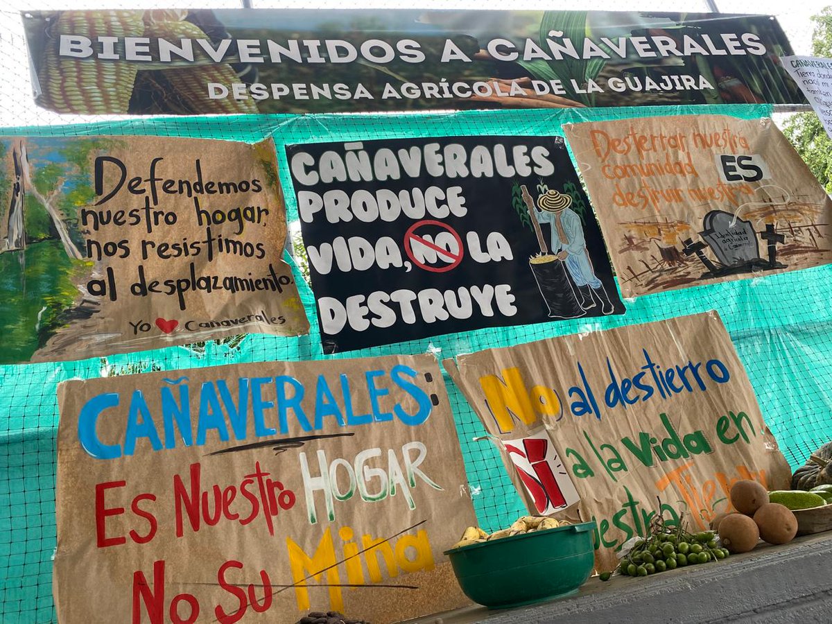 Ccajar's tweet photo. #AEstaHora📣Inicia audiencia pública ambiental sobre el proyecto Mina Cañaverales, que la empresa Best Coal Company (BCC), pretende desarrollar en San Juan del Cesar, en La Guajira, pese a la negativa de las comunidades, quienes quieren conservar su manantial, si agricultura y su territorio.

Sigue el #EnVivo aquí⬇️
https://t.co/BiuhuKN84V