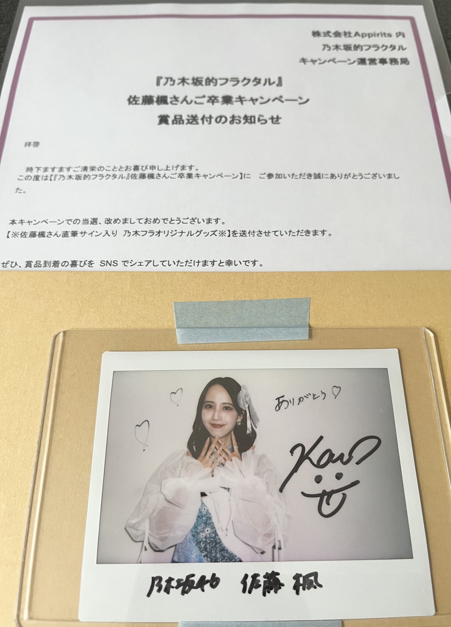乃木坂46 佐藤楓 直筆サイン入りチェキ タレントグッズ