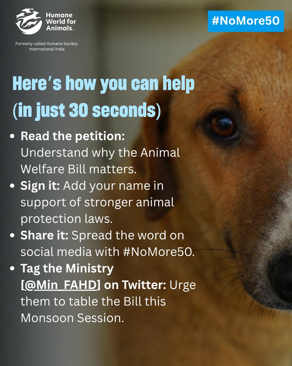 Humane World for Animals India (@humaneworldind) on Twitter photo Indiaโs animal protection law โ the Prevention of Cruelty to Animals Act, 1960 โ hasnโt been amended in 64 years.
Weโre urging the <a href="/Min_FAHD/">Ministry of Fisheries, Animal Husbandry & Dairying</a> to act and to finally table the Animal Welfare Bill.
Sign the petition today: action.humaneworld.org/page/164089/acโฆ Indiaโs animal protection law โ the Prevention of Cruelty to Animals Act, 1960 โ hasnโt been amended in 64 years.
Weโre urging the <a href="/Min_FAHD/">Ministry of Fisheries, Animal Husbandry & Dairying</a> to act and to finally table the Animal Welfare Bill.
Sign the petition today: action.humaneworld.org/page/164089/acโฆ