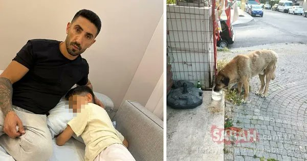 🚨#SONDAKİKA | İstanbul Beylikdüzü'nde 13 yaşındaki Kerem Ö. marketten eve dönerken başıboş köpeklerin saldırısına uğradı. Kaçmaya çalışırken yere düşen ve baldırından ısırılan küçük çocuk çevredeki vatandaşlar tarafından kurtarıldı.

Maalesef İstanbul'da 2 ilçe belediyesi hariç