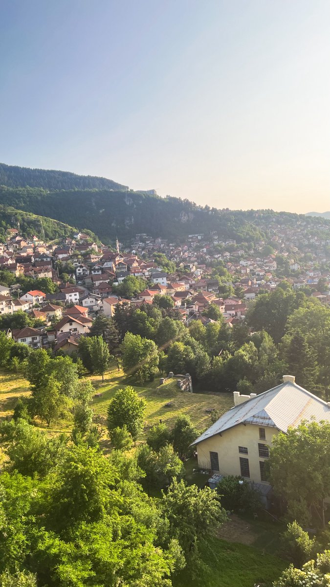 شروق المرحبي tweet media