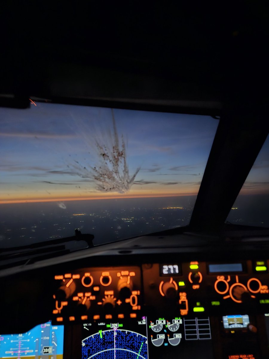 A Pilot's View tweet media