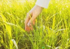 serssny🌶️ tweet media