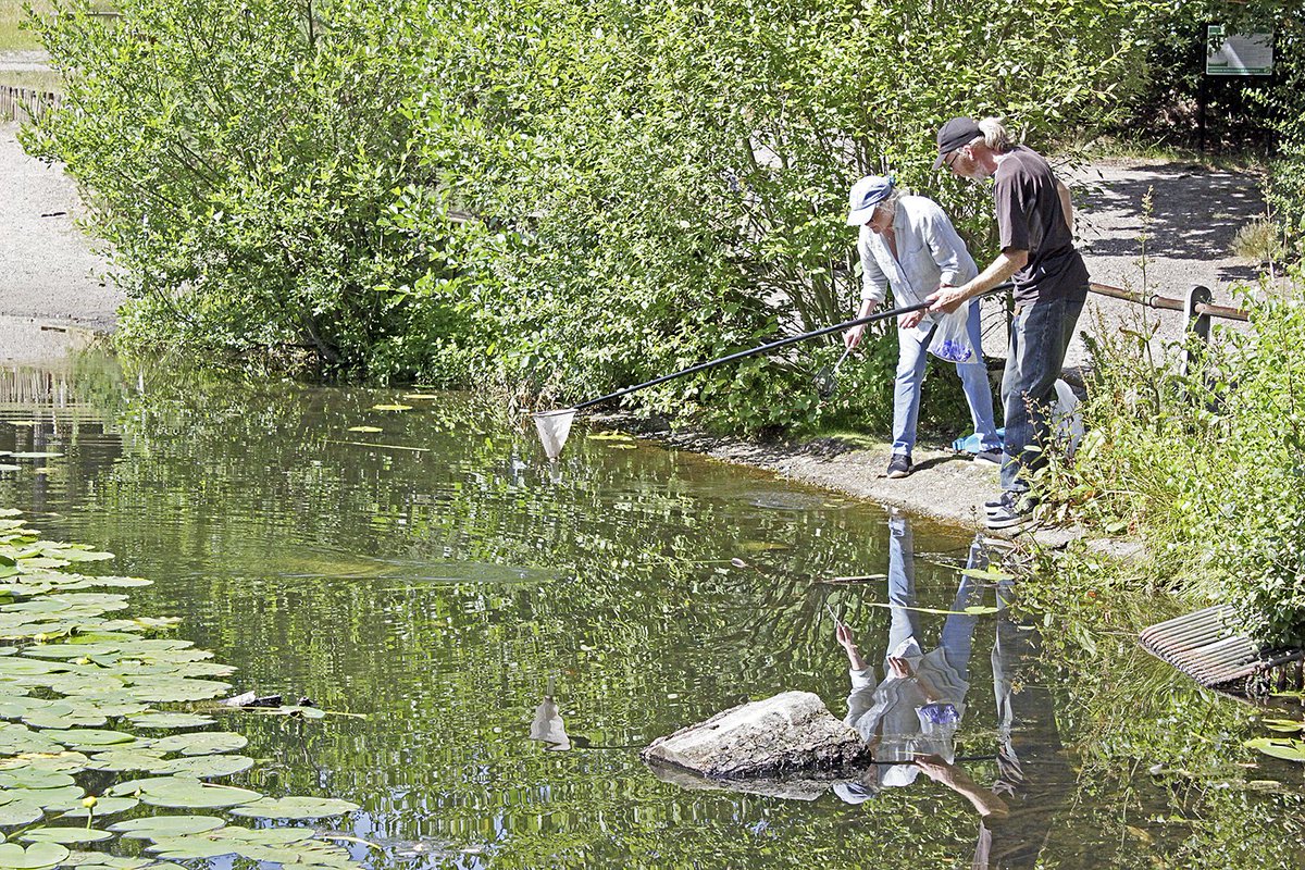 Quekett Microscopy tweet media