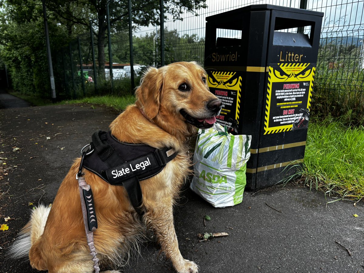 Comedy look from Lottie!  I wonder what she’s thinking?! (Either…“Why do people drop do much rubbish on the floor in Rogerstone?” or “I wonder whether he’s going to give me a treat now?”)
