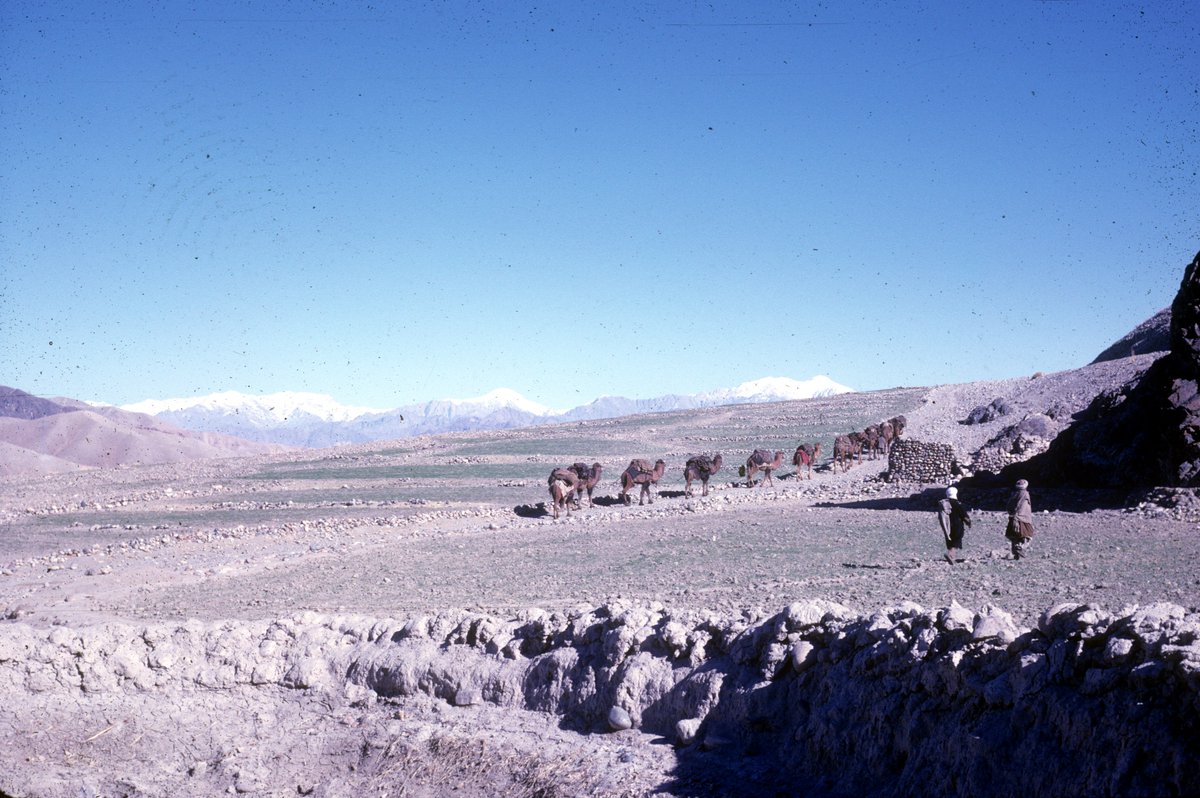 گنجینه‌ای از تاریخ تصویری افغانستان-ACKU
مرکز معلومات افغانستان بیش از7000عکس منحصر به فرد از مجموعه عکس های لوییز و نانسی دوپری را دیجیتالی نموده است. این عکس ها بیانگر معماری، تاریخ و فرهنگ، مناظر طبیعی و زندگی نزدیک به پنجاه سال پیش مردم افغانستان است.ackuimages.photoshelter.com
