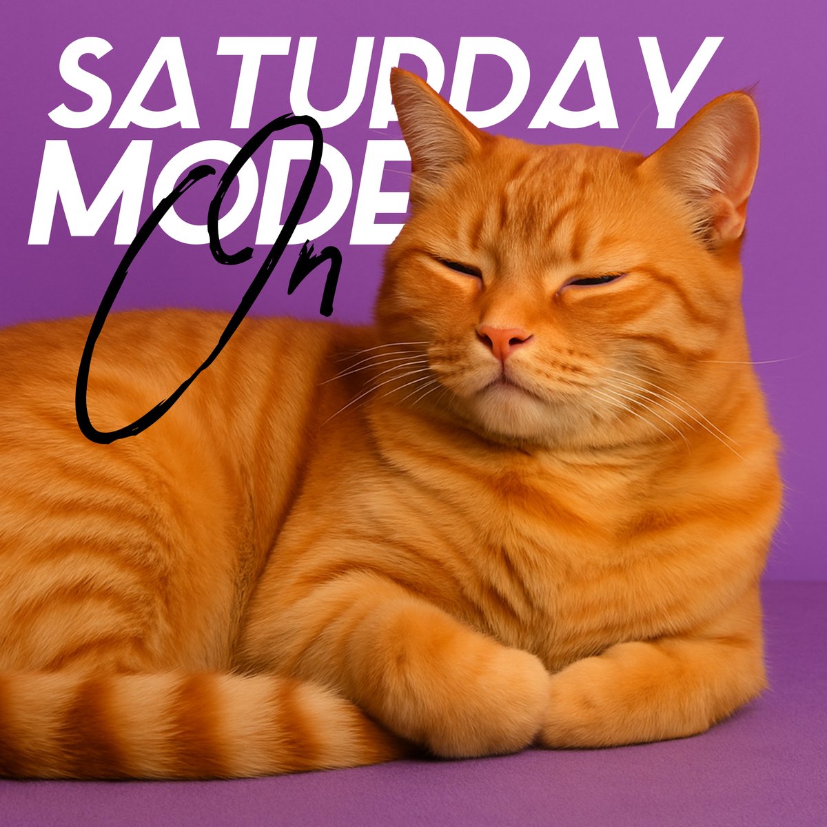 Good meowning! ☀️
We woke up, stretched dramatically, knocked something off the table…
And now? Time for nap #1.
#MascoshopMornings #CatLogic #WeekendMood