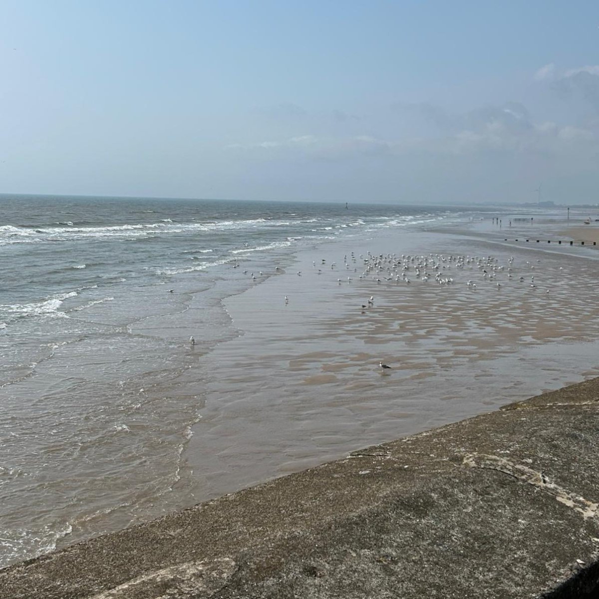 Fostering Rotherham tweet media