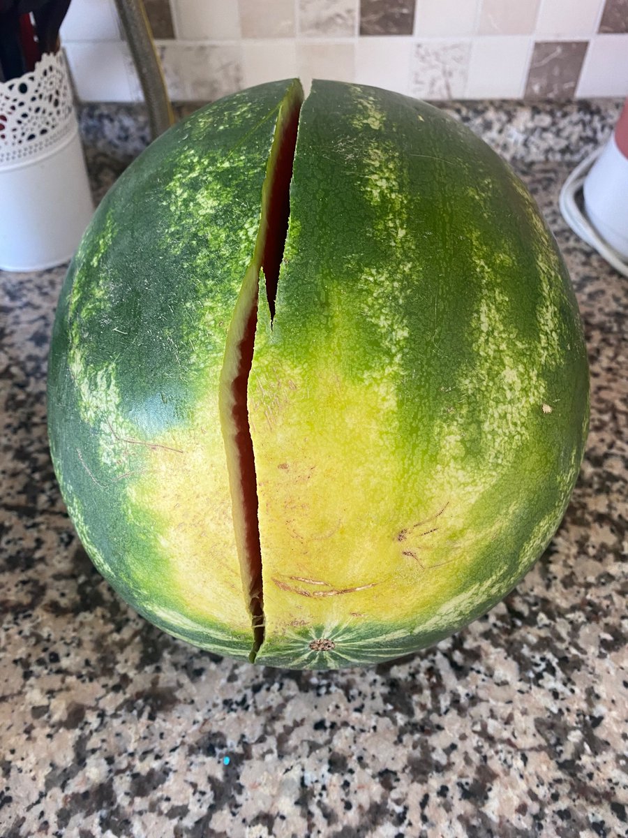 Chatgpt’den tek üstün yanım “karpuz seçmek” olabilir 😂