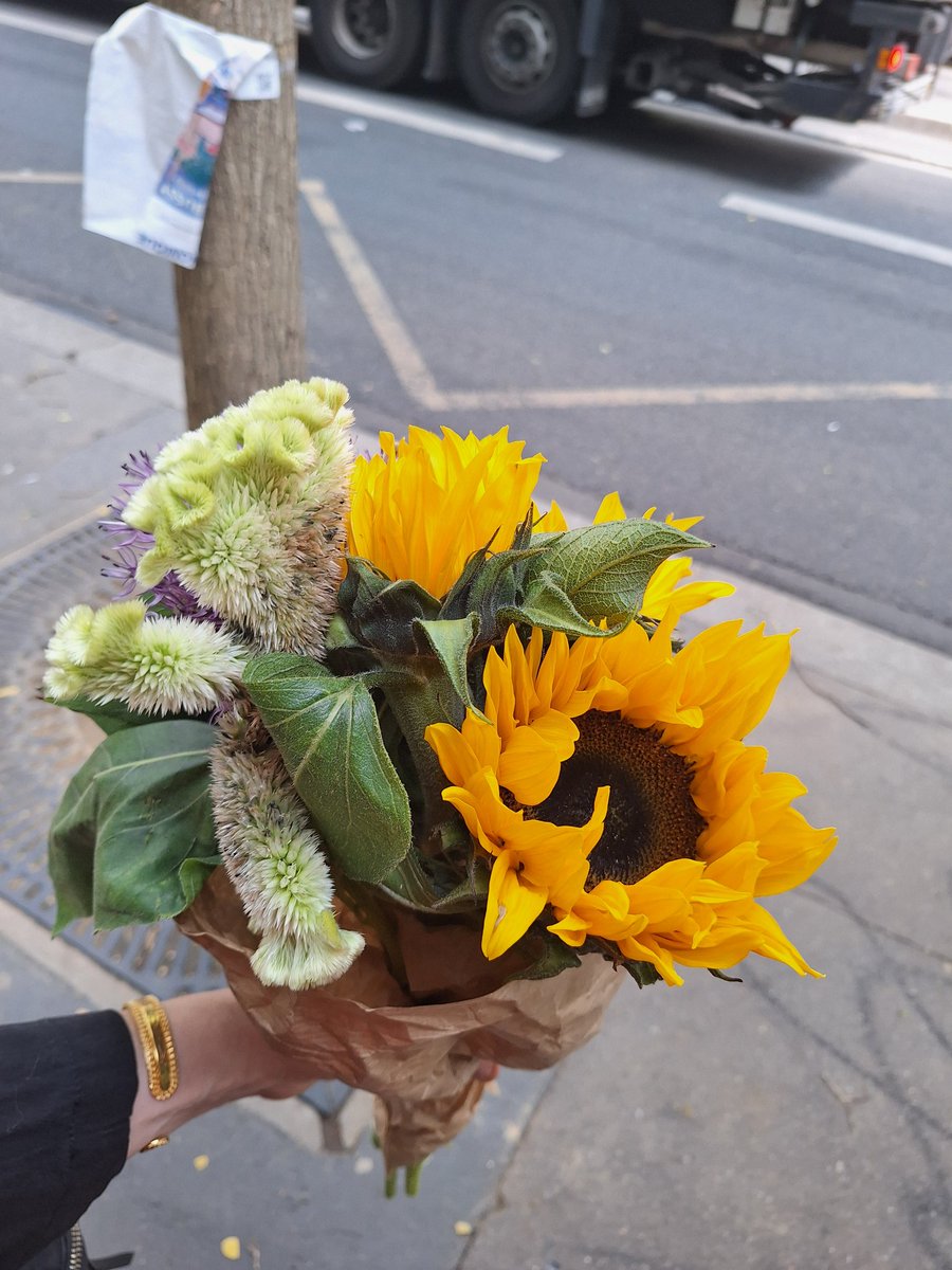 vidal elsa tweet media