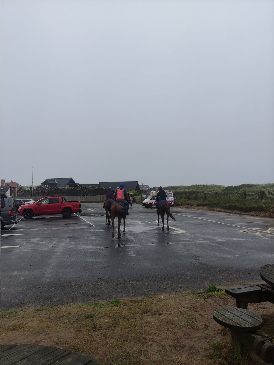 Me met the horses on way to beachie to enjoy themselves 😊😍
<a href="/NicolRacing/">Adam Nicol Racing</a>