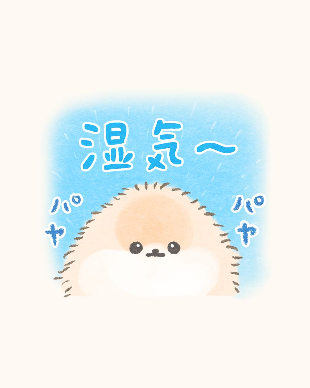 ぽこ︱ぽぽちの飼い主 on X: 