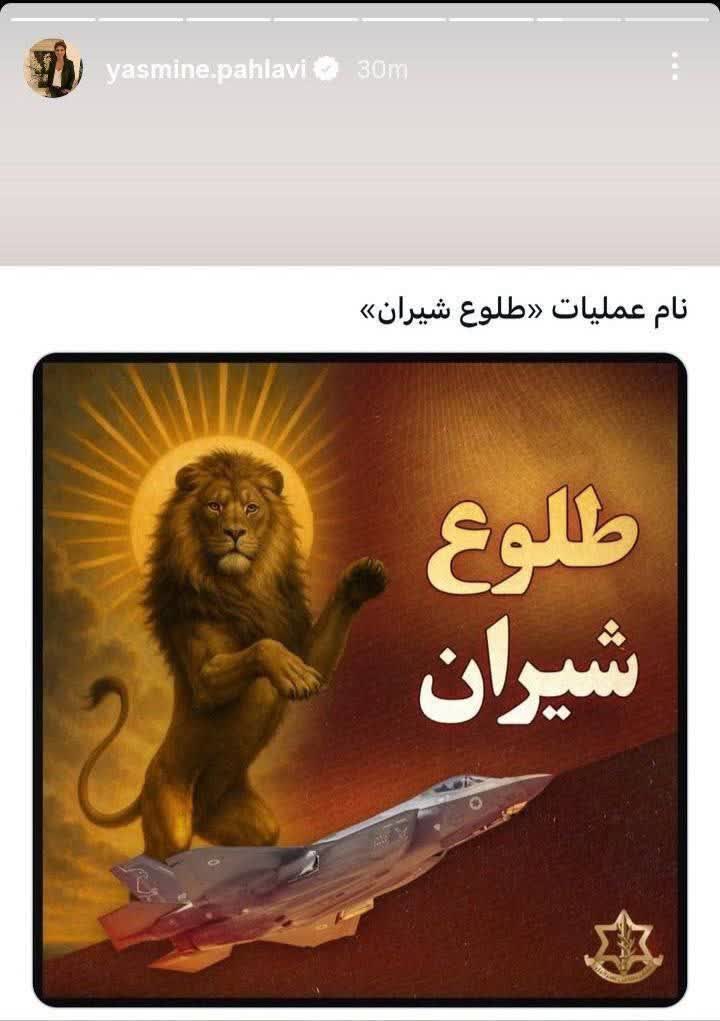 m_helma_72's tweet image. حمایت یاسمین پهلوی از رژیم کثیف صهیونیستی
#بهای_جنایت
#YouWillRegretIt