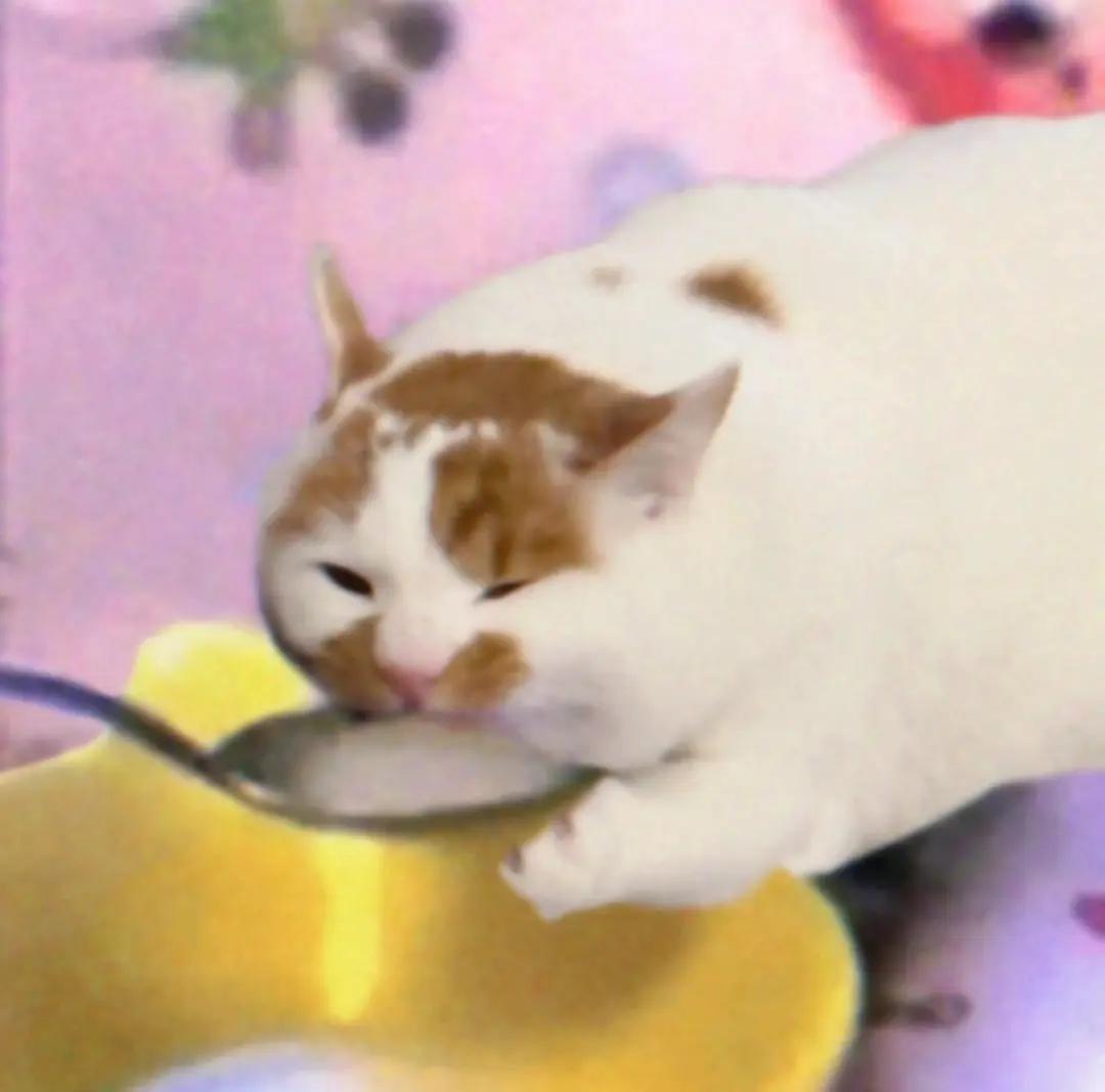 其实我一直在通过色图吸引人来关注我，本质上就是这样的缺爱逼，但是真有人说喜欢我爱我了我又会不满足于对方给我的爱觉得不是我想要的。
...唉，适合一个人这样一直孤独。