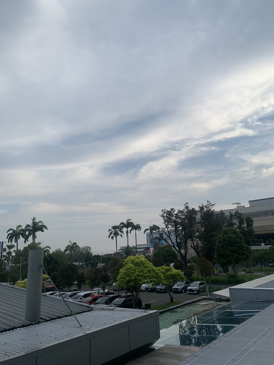 pickopickoo's tweet photo. https://t.co/8MvMHVeSkD