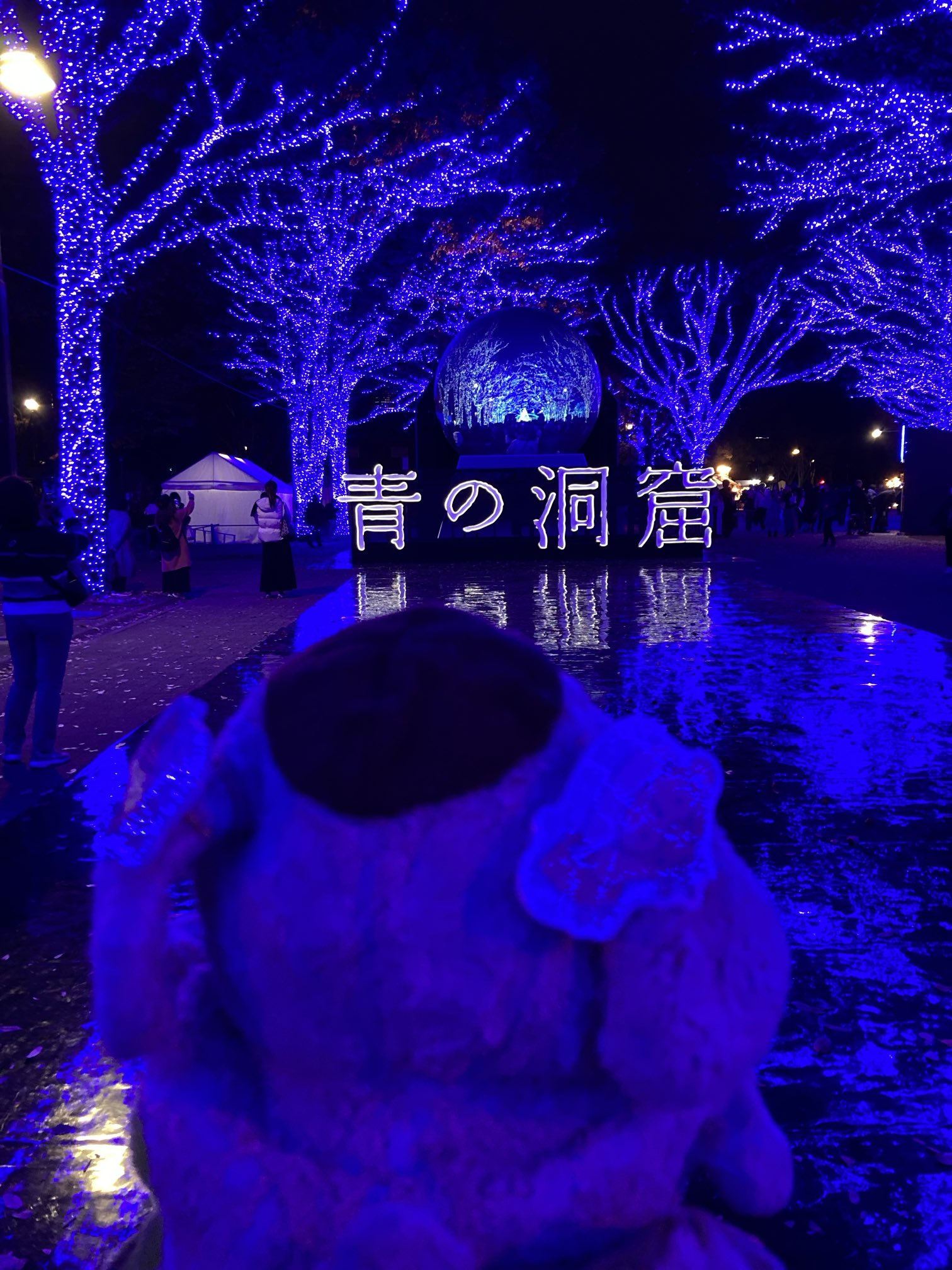 雷光炎舞かぐづち【世界最大規模！東京お台場の海岸をまるごと