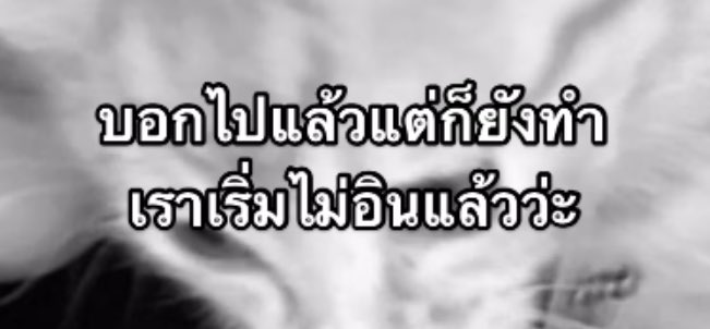 ช่างแม่ง🐰🏳️🌈 tweet media