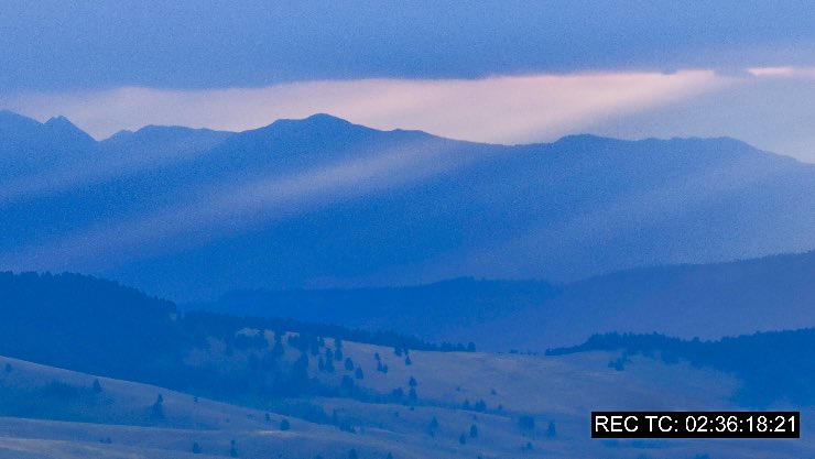 Tom Opre tweet media