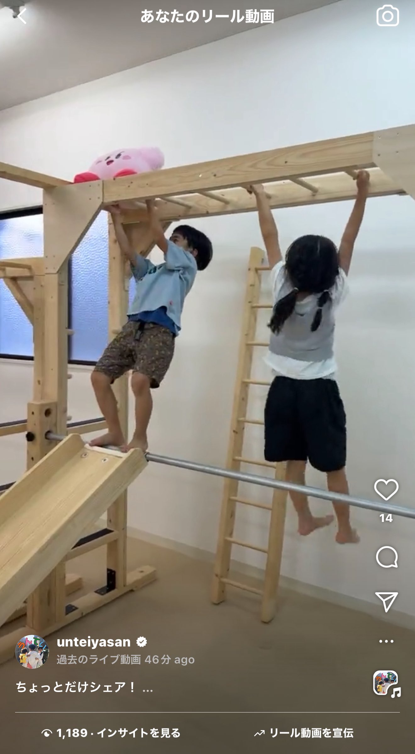 知育うんてい 室内うんてい うんてい アリサラのうんていやさん