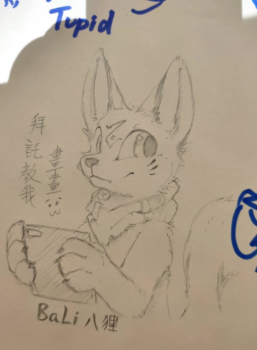 GFox404's tweet image. 📝🦊
