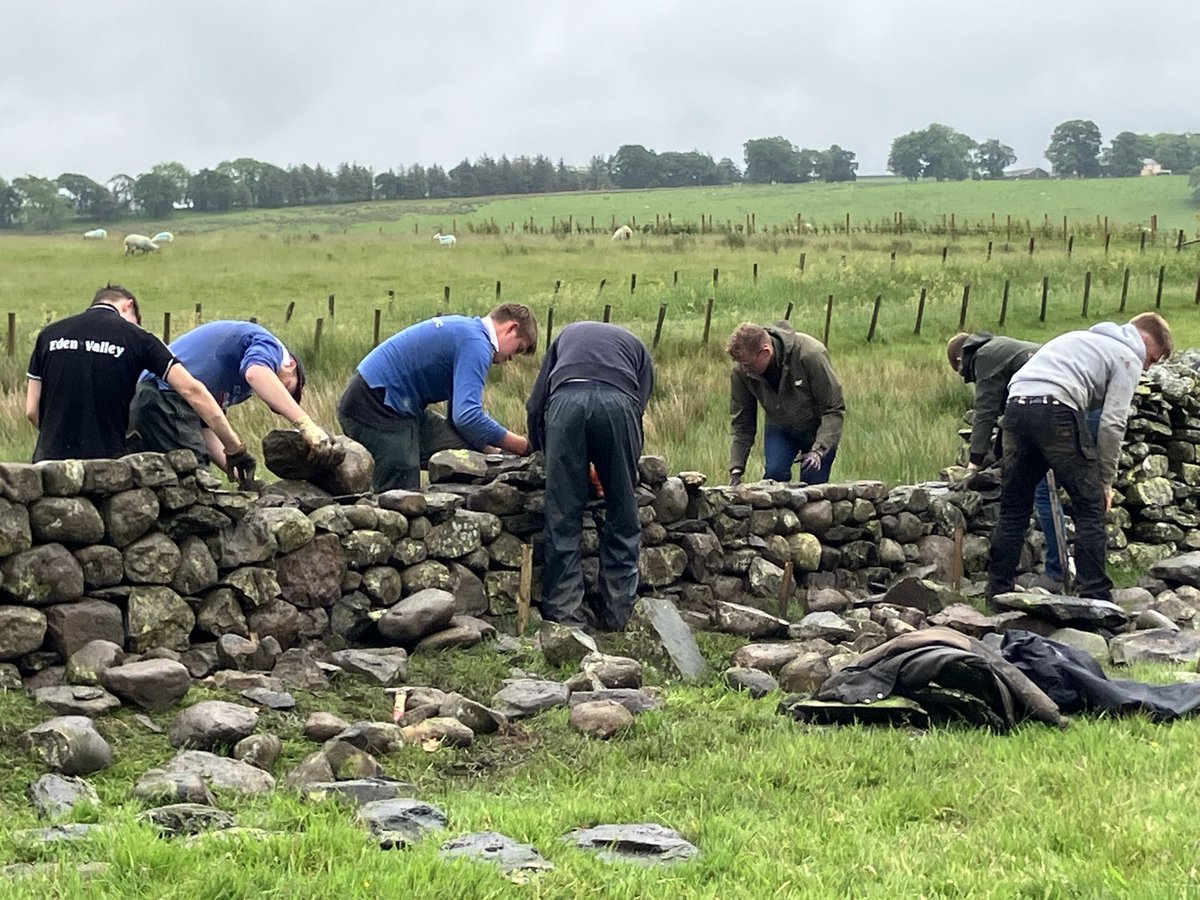 Andrea Meanwell (@ruslandvalley) on Twitter photo Congratulations to <a href="/ernestcooktrust/">The Ernest Cook Trust</a> and <a href="/CumbriaYFC/">Cumbria YFC</a> on an excellent field day. 👏🏻👏🏻👏🏻👏🏻 Congratulations to <a href="/ernestcooktrust/">The Ernest Cook Trust</a> and <a href="/CumbriaYFC/">Cumbria YFC</a> on an excellent field day. 👏🏻👏🏻👏🏻👏🏻