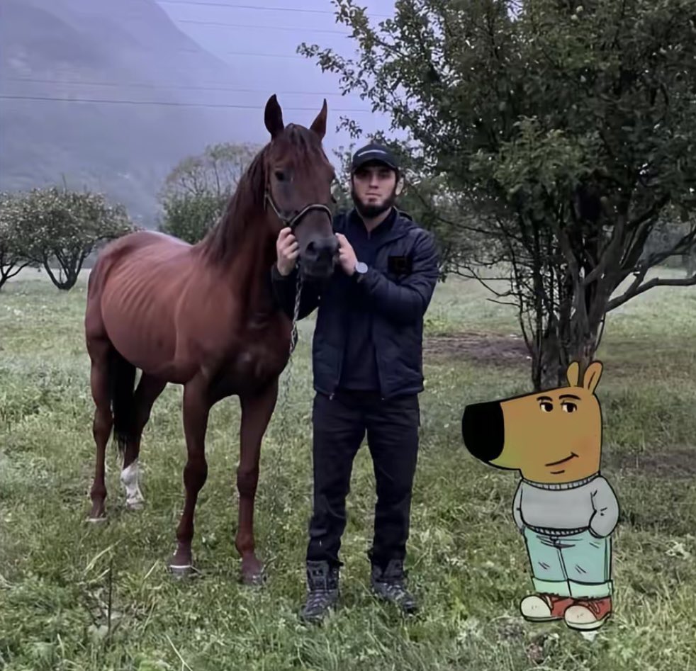 مُحمد (@0xsekiro) on Twitter photo 