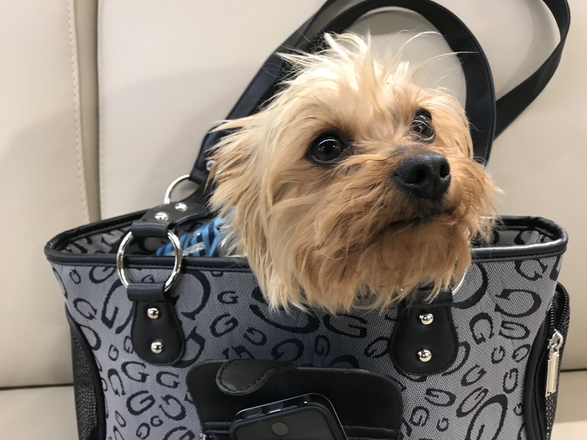 LeanGurus's tweet image. Pack your bags!  We're going to Santorini, Greece! 🌟

I’m excited to announce the launch of my third conference in Santorini, happening during the first week of September. This isn’t just another event—it’s an intimate, hands-on experience designed to inspire, challenge, and…