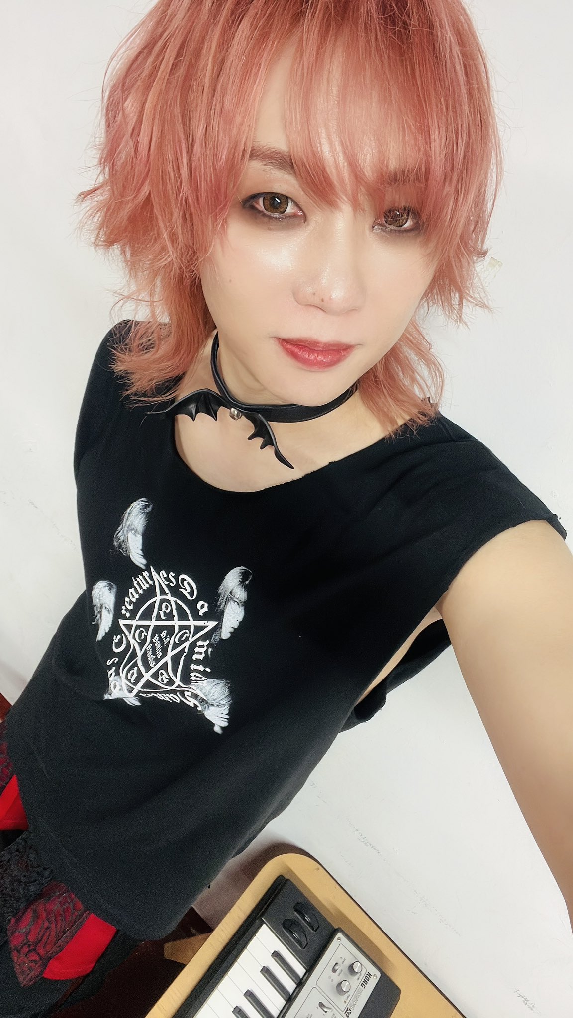 ピュアサウンド / sp_アーティスト_取扱商品