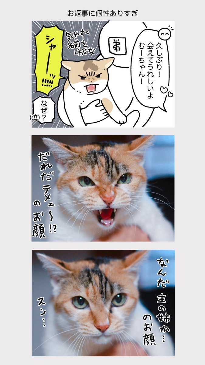 GtZuaqaa0AAfM2I.jpg
