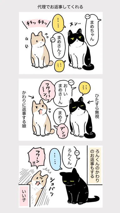 (2/9)実は気遣いやさんのみたらしさんと、実はマイペースなまめさん 
