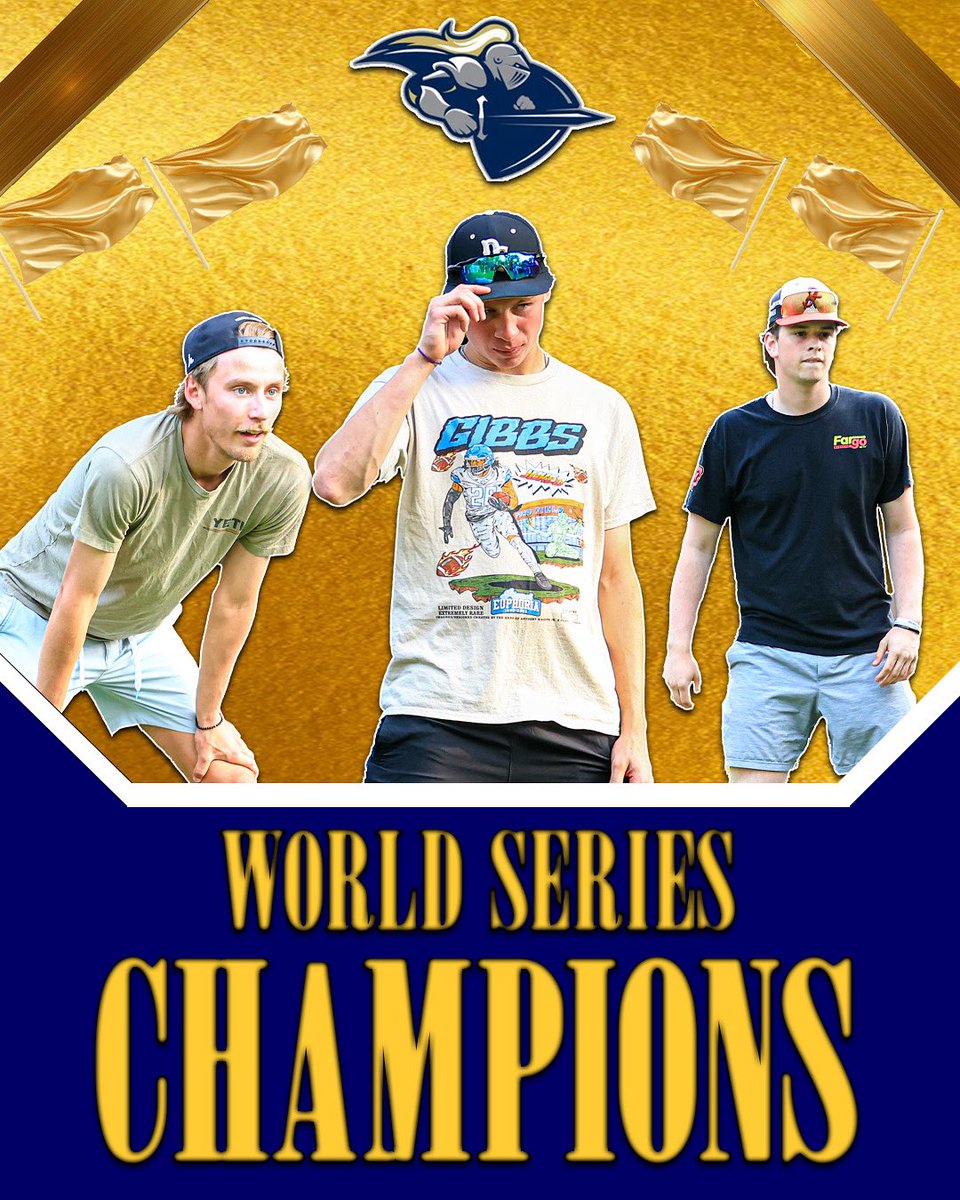 WBL Wiffle Ball tweet media