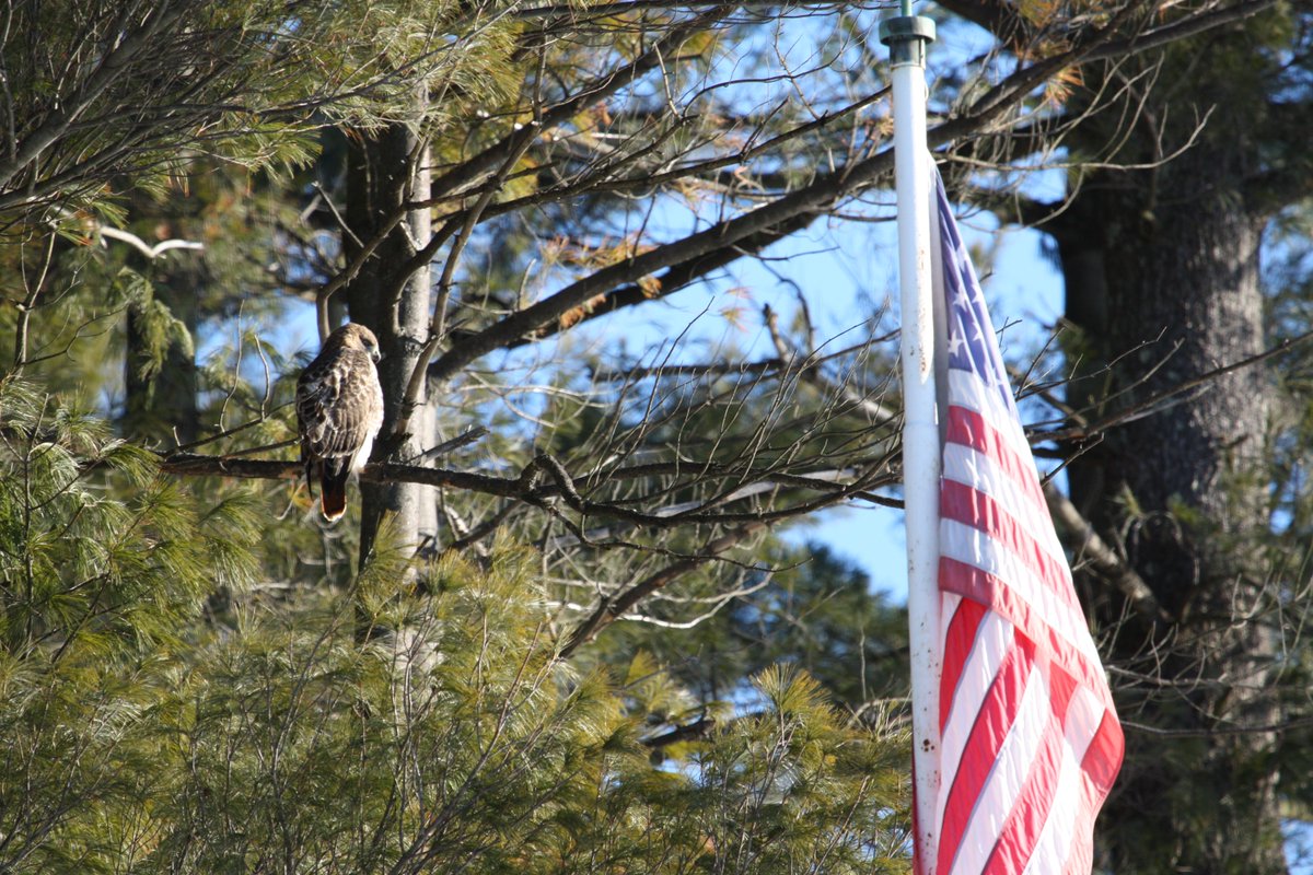 As we celebrate America 250, we’re reflecting on what it means to be truly free. Freedom to roam. To fish. Access to recreation all across the country. Our public lands are more than places on a map; they’re part of the American promise. And they belong to all of us.

#FlagDay