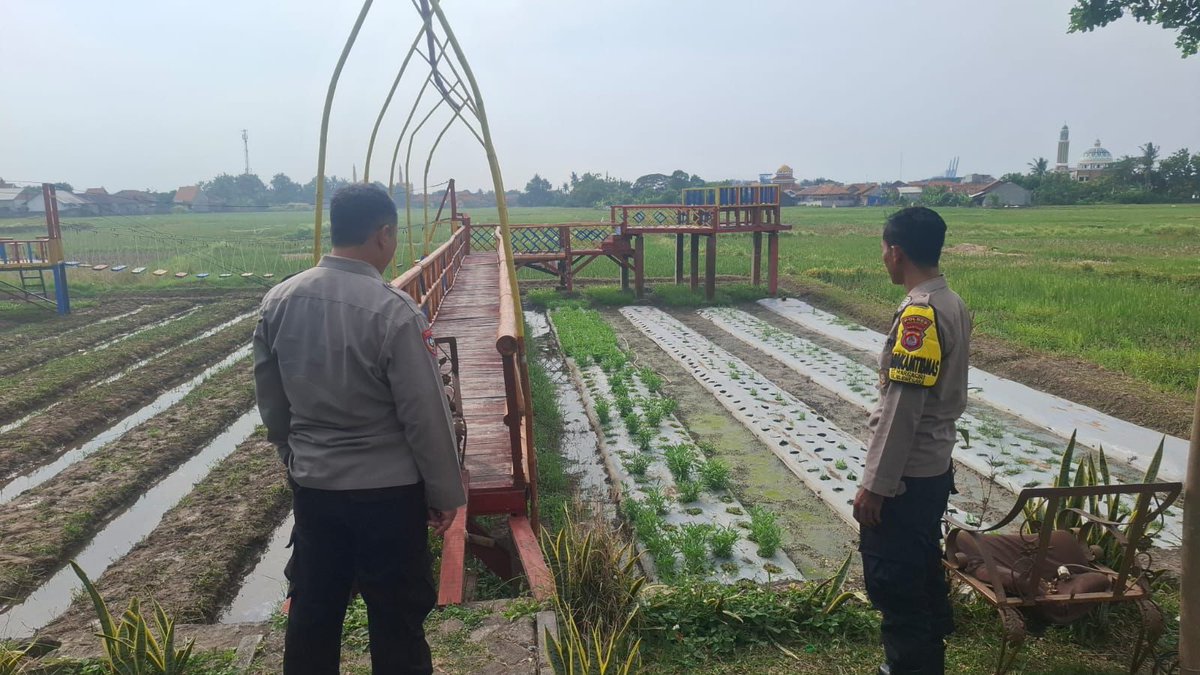 Kasat Binmas Polres Cilegon AKP Dede Ahmad Djajat melakukan pengecekan pekarangan pangan bergizi dalam rangka  mengikuti lomba Pekarangan Pangan Bergizi (P2B)  yang digelar oleh Polda Banten sebagai bagian dari Hari Ulang Tahun (HUT) Bhayangkara ke-79.Jum'at,13/6/25